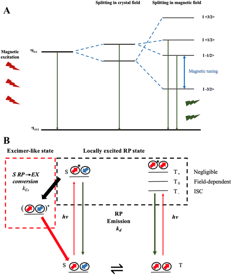 Biorender Gantt Chart