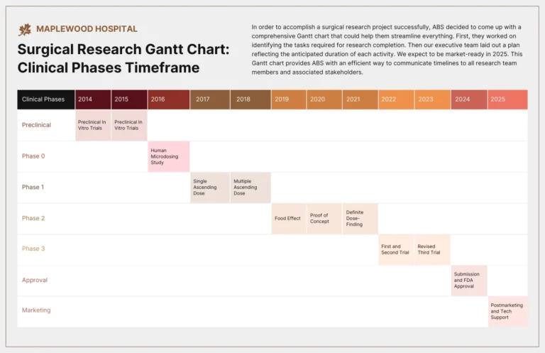 Colorful Medical Research Phases Gantt Chart Diagram Template 