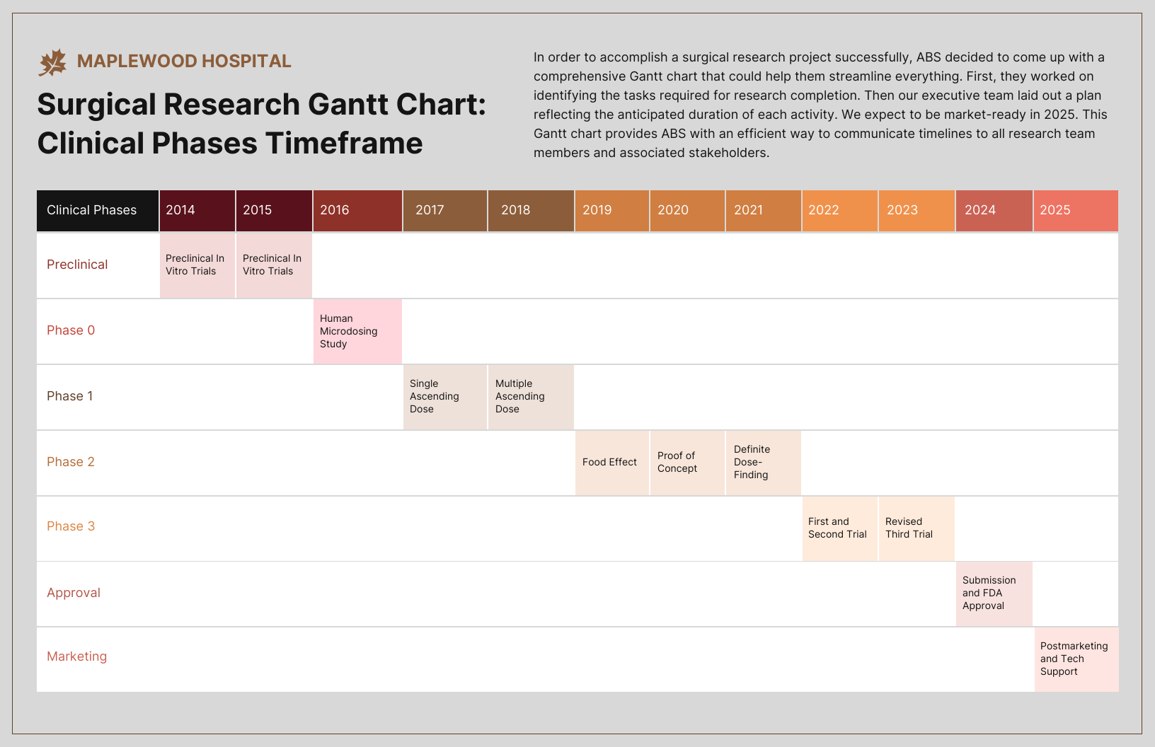 Colorful Medical Research Phases Gantt Chart Diagram Template Venngage