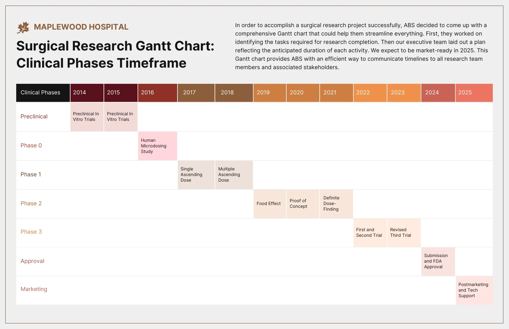 Colorful Medical Research Phases Gantt Chart Diagram Template 