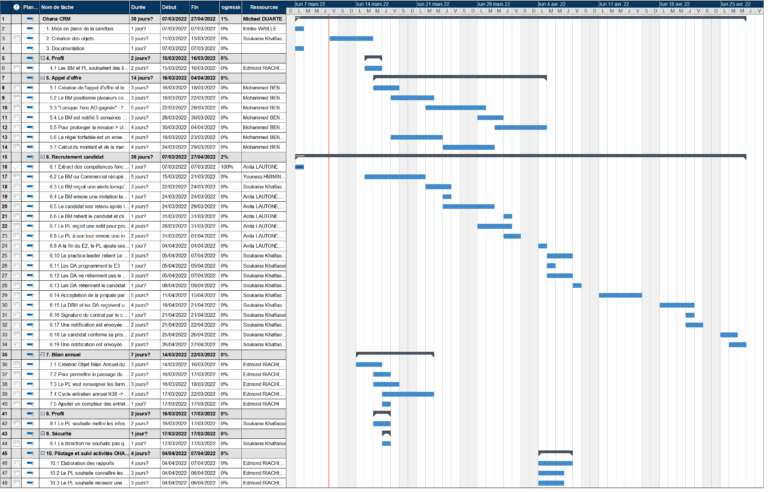 CRM 3915 MindView Gantt Chart Software