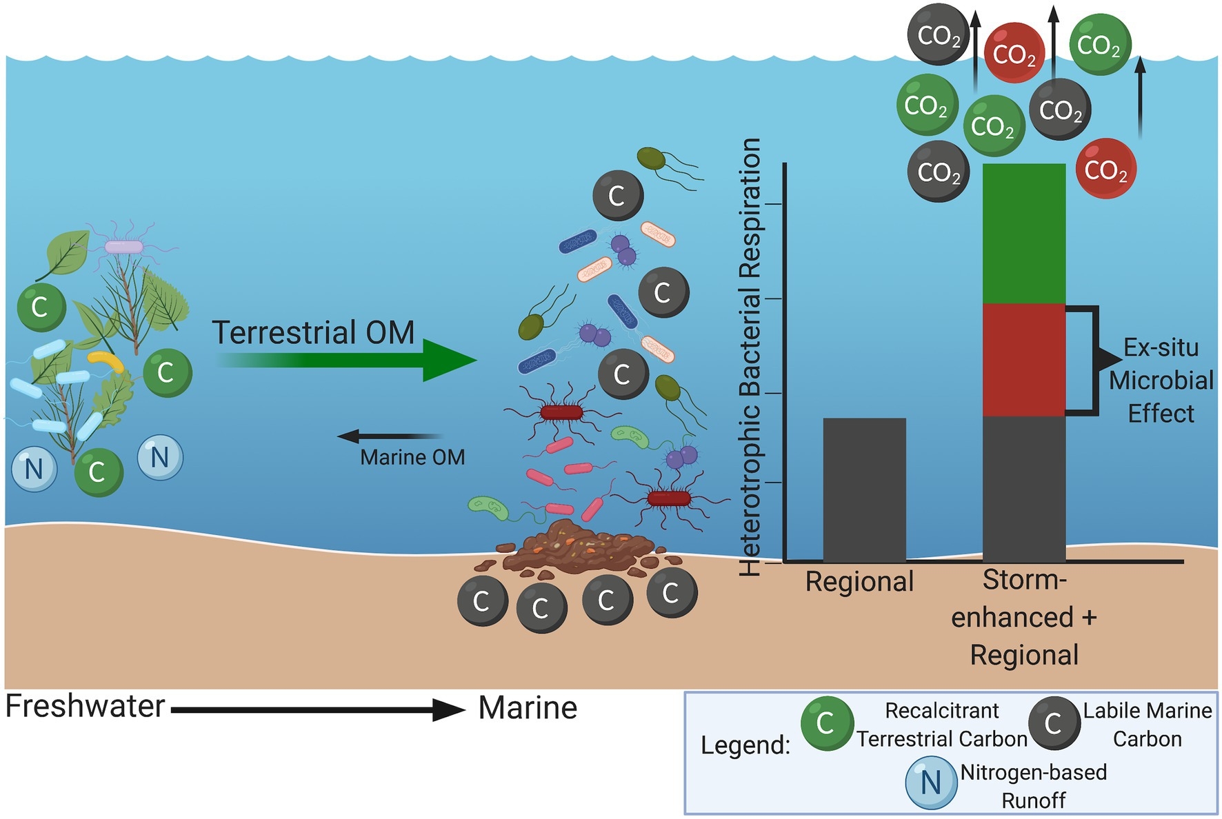 Frontiers Coastal Microbial Communities Disrupted During The 2018 Hurricane Season In Outer Banks North Carolina