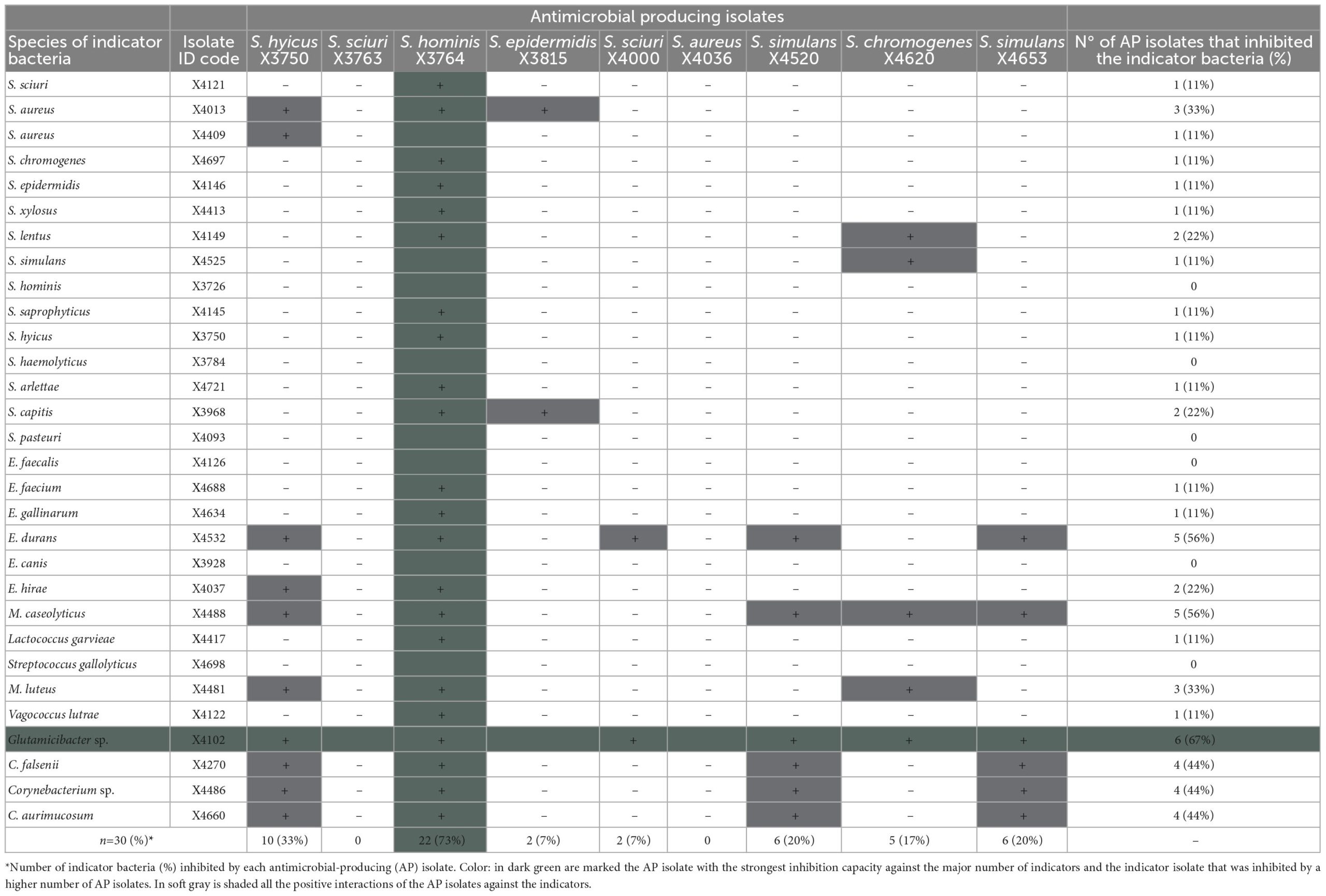 Frontiers Detection Of Antimicrobial Producing Staphylococcus From Migratory Birds Potential Role In Nasotracheal Microbiota Modulation