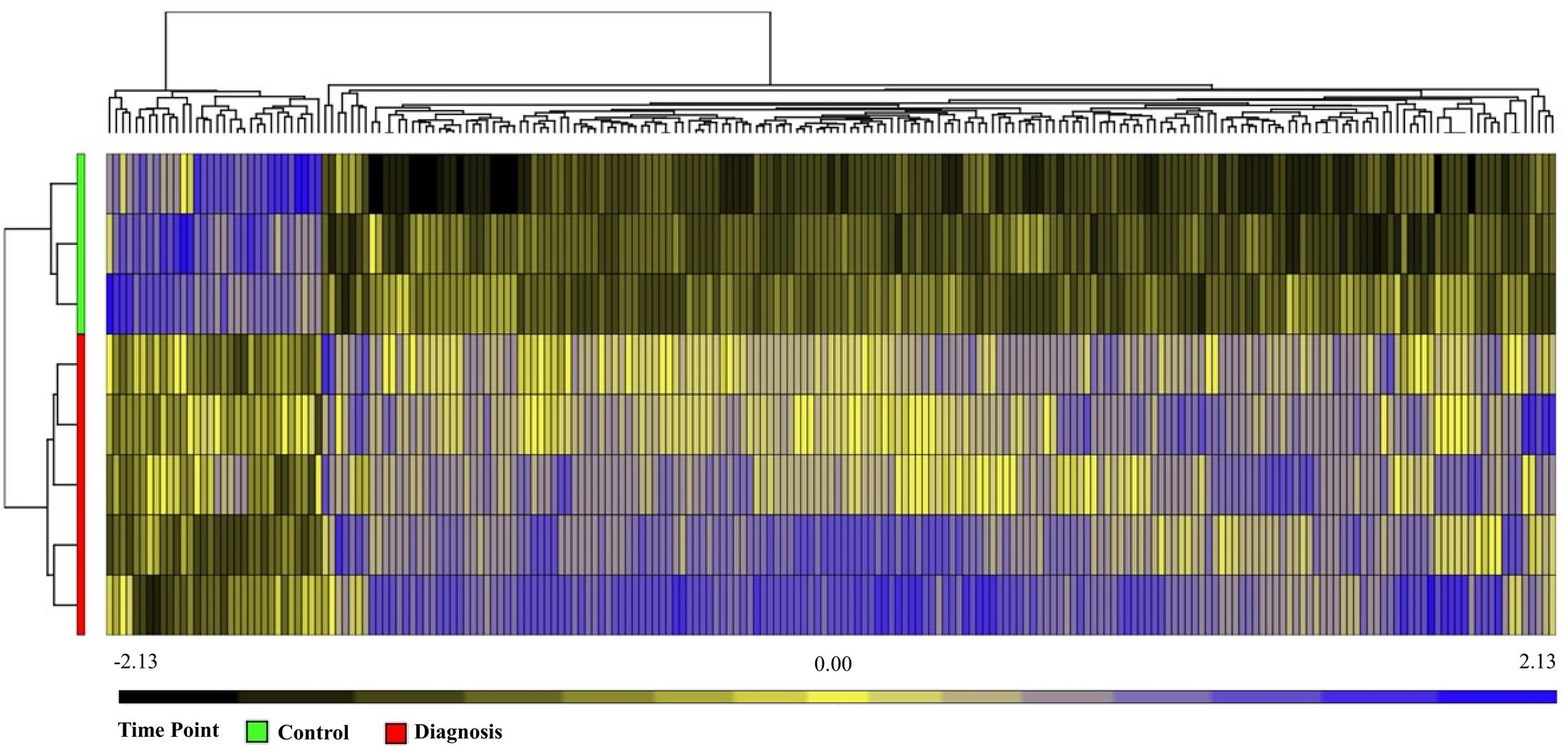 David Bacci Gantt Chart