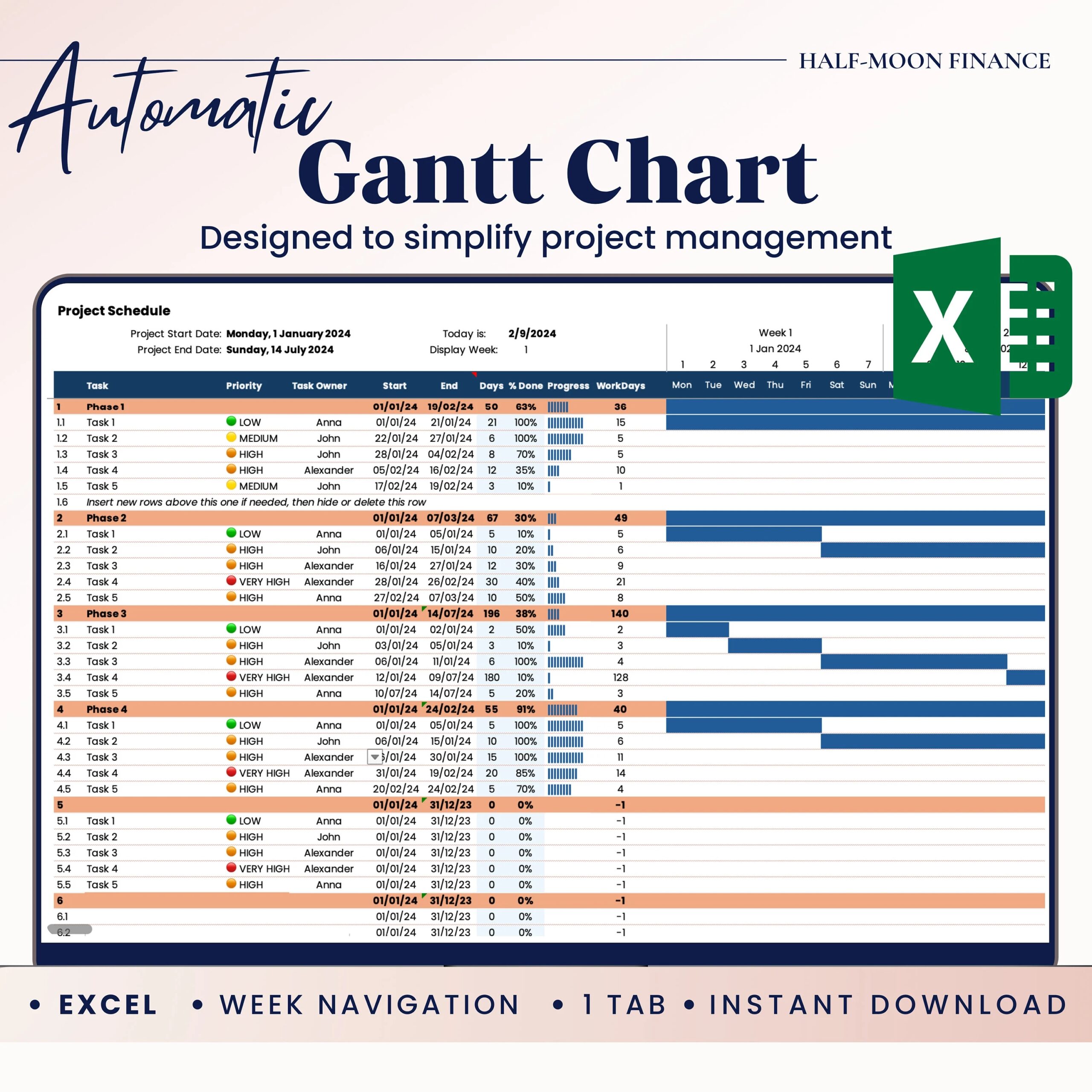 Financial Gantt Chart