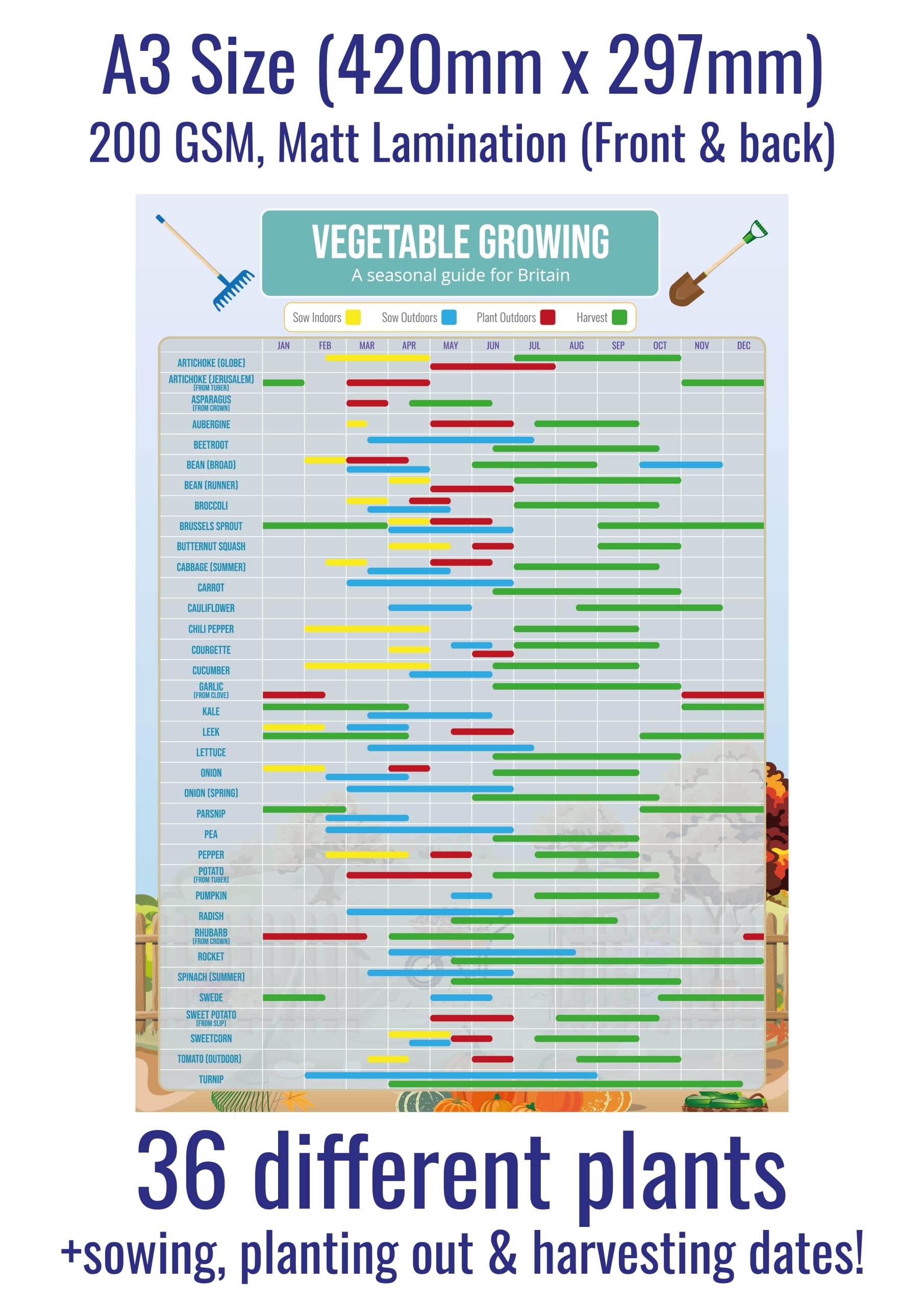 Gardening Vegetable Growing Planner Poster A3 Size U0026 Laminated Calendar Planner Gantt Chart For Crops Fruit Veg Allotment Amazon co uk Books