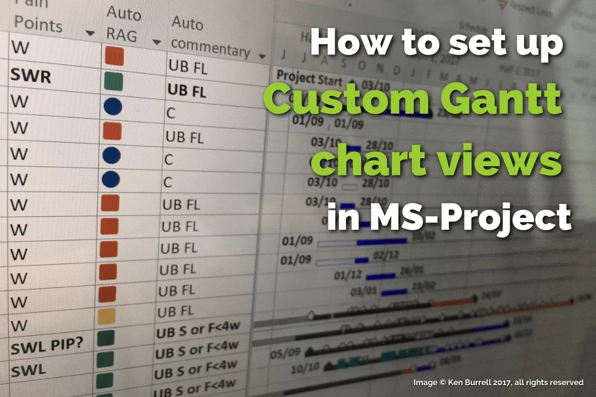 How To Set Up Custom Gantt Chart Views In MS Project The PMO Professionals