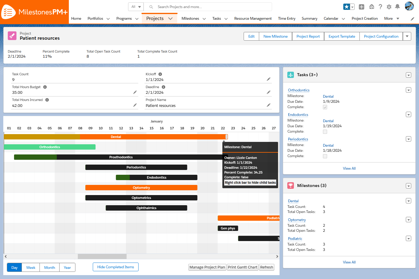 Milestones PM Free Edition Customizable Project Management 