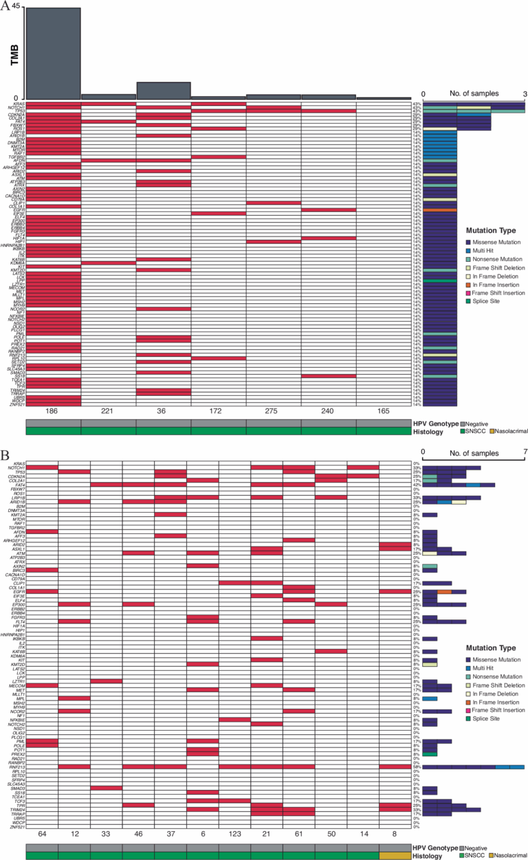 Molecular Patterns And Mechanisms Of Tumorigenesis In HPV associated And HPV independent Sinonasal Squamous Cell Carcinoma Nature Communications
