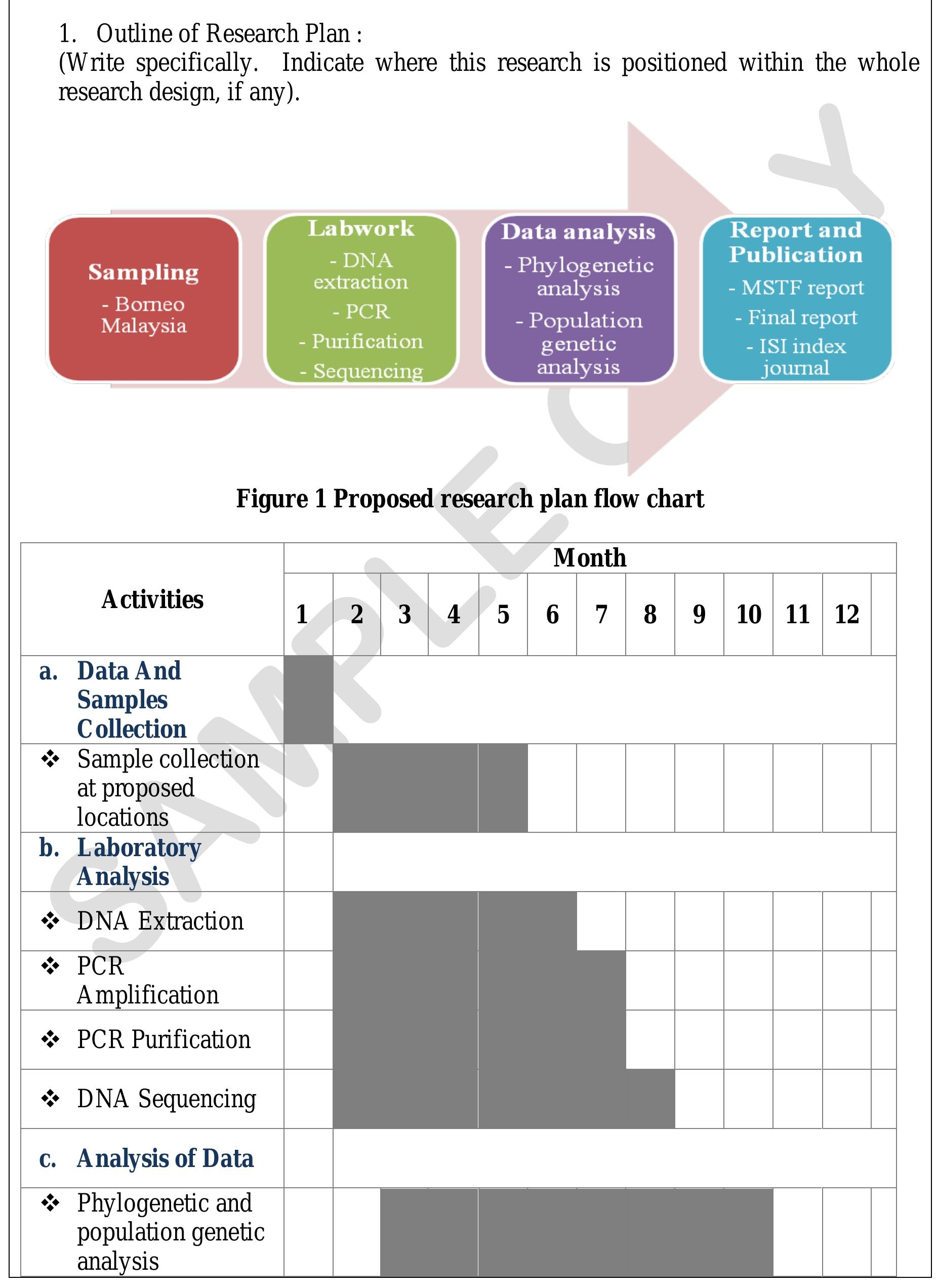 PDF Example On Writing Research Grant In Malaysia