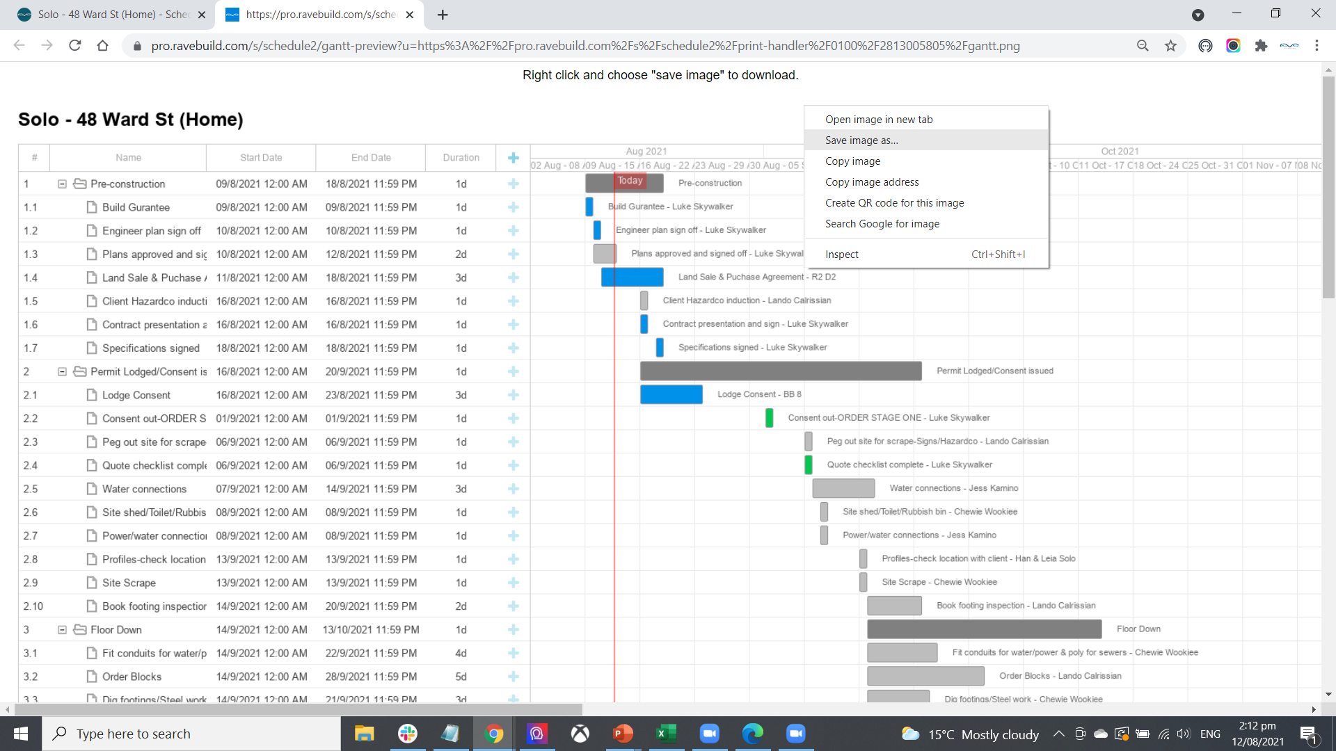 Printing A Gantt Chart Process Update Rave Software For Kiwi Builders