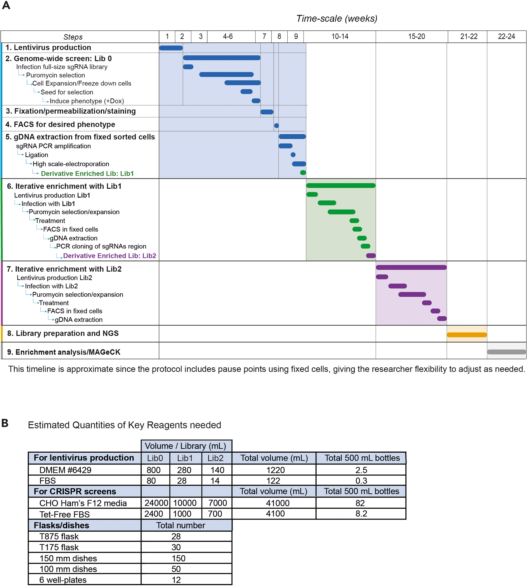 Protocol For Iterative Enrichment Of Integrated SgRNAs Via Derivative CRISPR Cas9 Libraries From Genomic DNA Of Sorted Fixed Cells