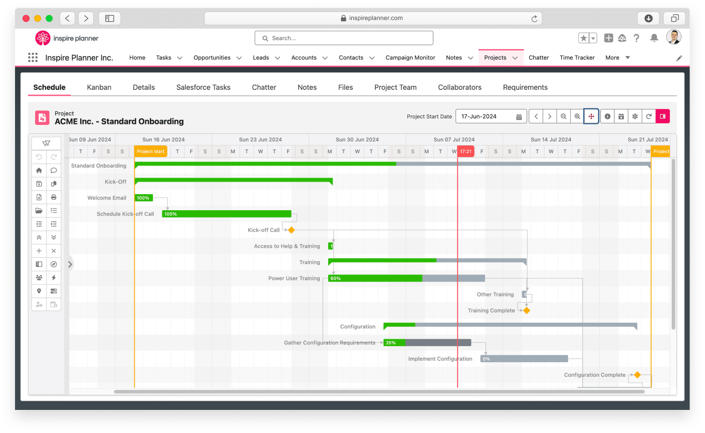 Gantt Chart For Salesforce Gantt Chart For Salesforce