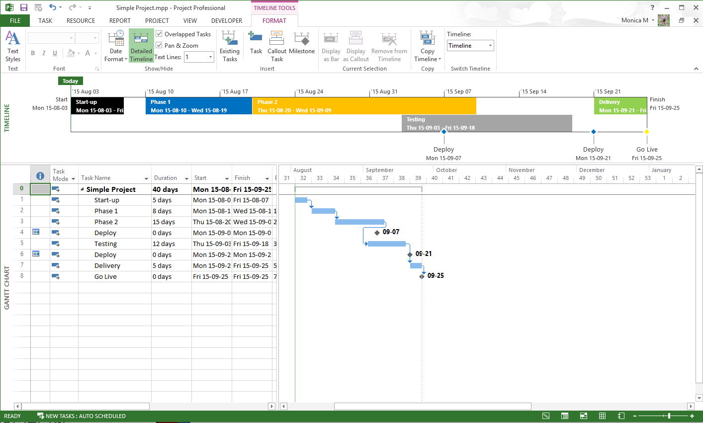 Solutions For Presentation worthy Gantt Charts And Project 