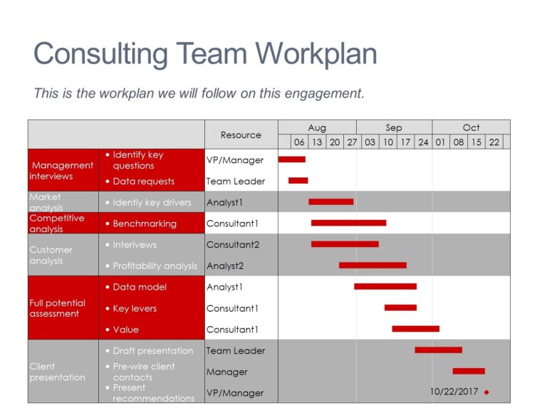 Team Project Plan Mekko Graphics