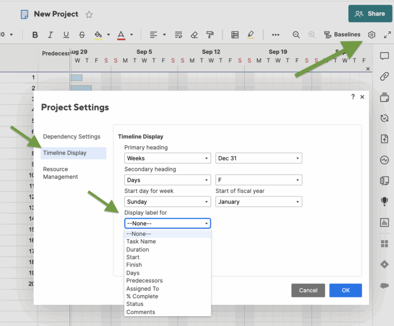 Text In Gantt Chart Smartsheet Community