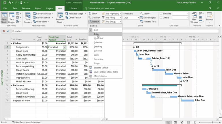 View Project Costs In Microsoft Project Instructions 