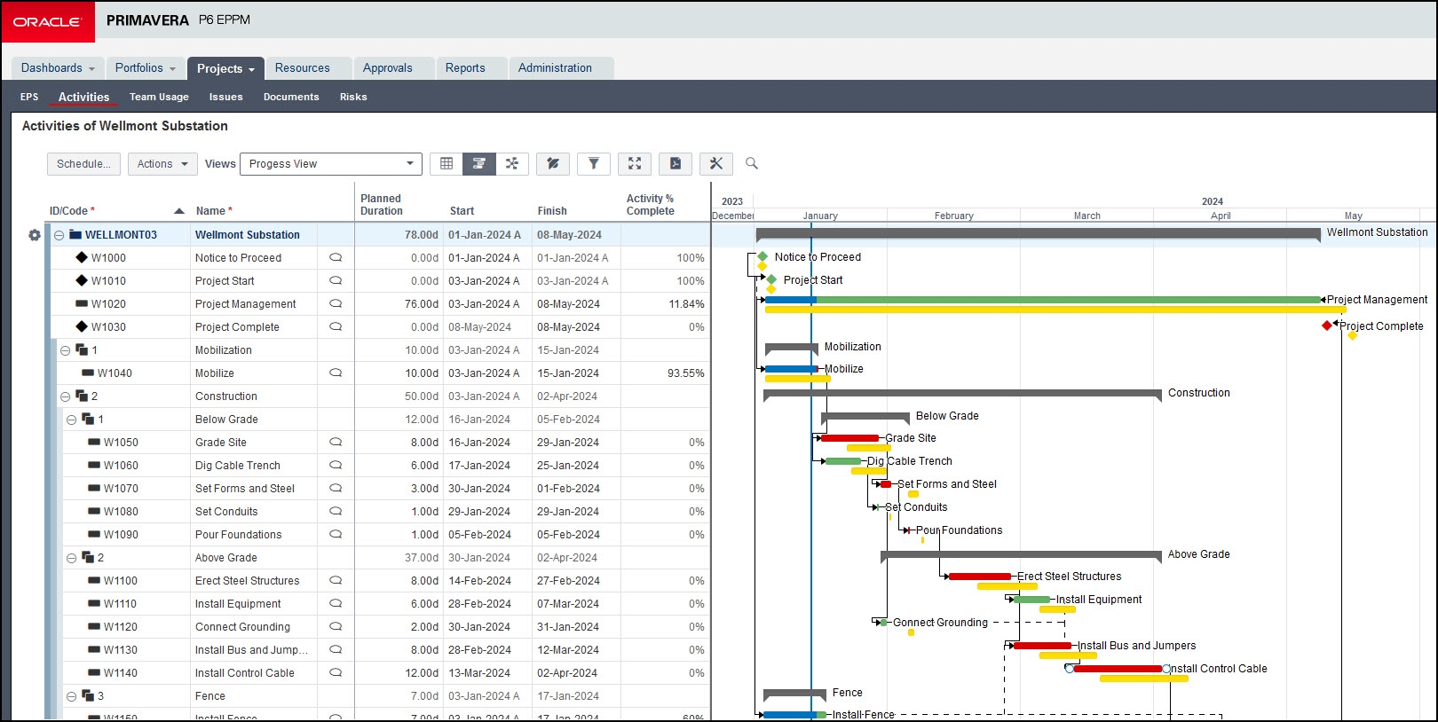 WBS Band Themes In Primavera P6 EPPM