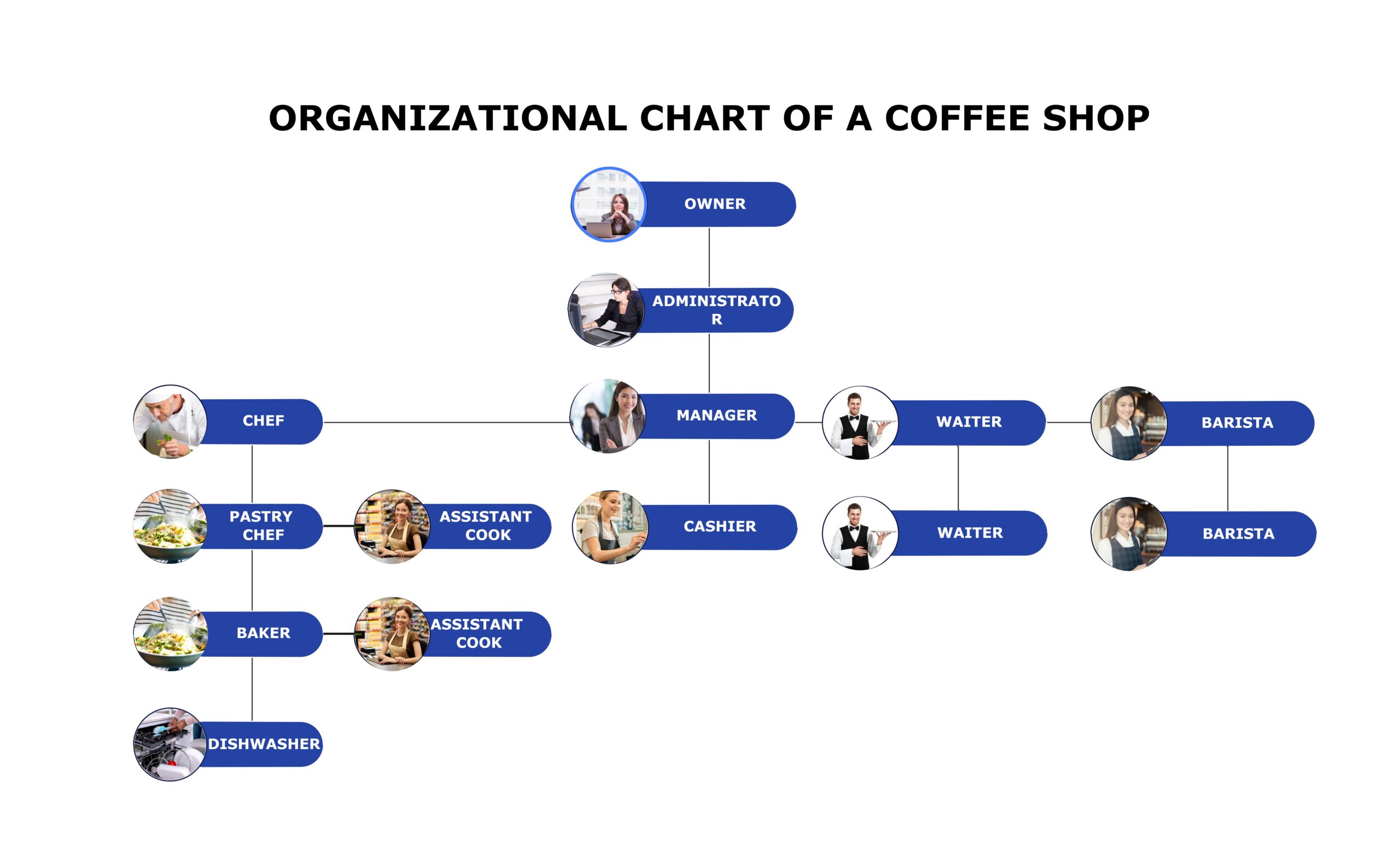 Why Establishing An Org Structure For A Coffee Shop Is Necessary 